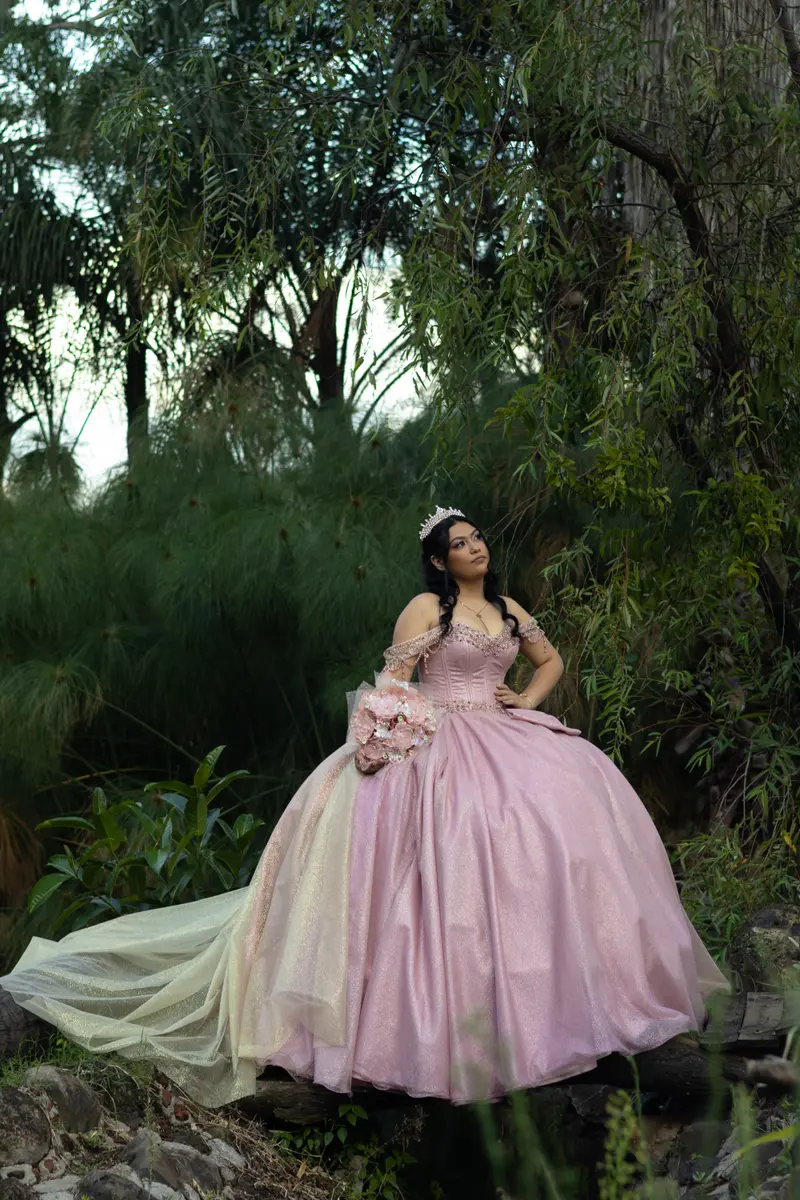 Arizbeth Dress Code